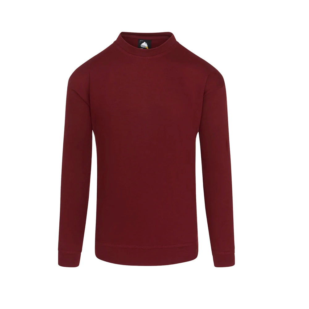 PLC Kite Sweatshirt