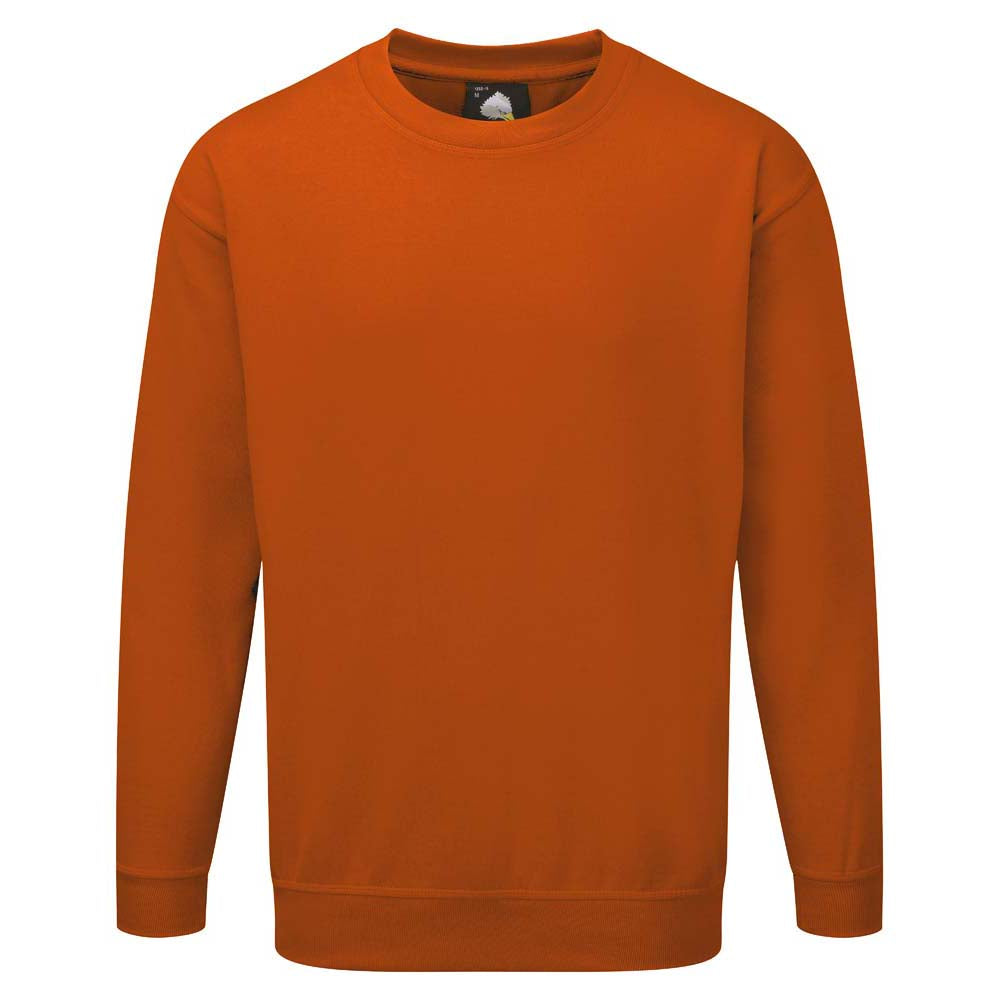 Kite Sweatshirt