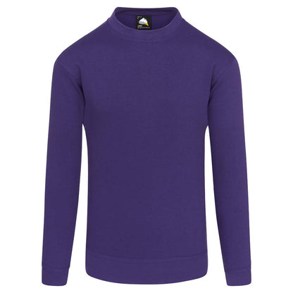 Kite Sweatshirt