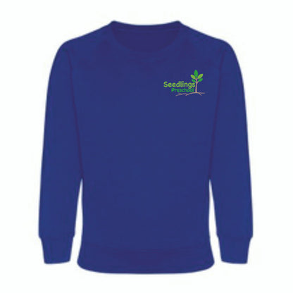 Seedlings Royal Blue Embroidered Sweatshirt